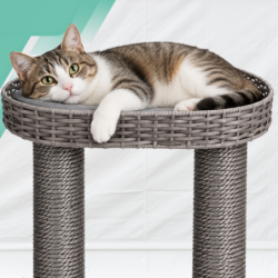 Karlie Nicky Outdoor Drapak dla Kota 110 cm Polirattan Balkon Taras Premium 77x57 cm